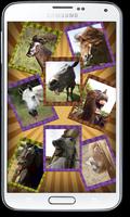 Funny Horses Faces Matching poster