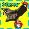 Crazy Chicken On A Hoverboard