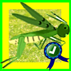 Hungry Grasshopper Jumping icône