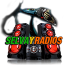 APK Selvayradios