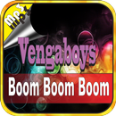 Vengaboys Songs Collection APK