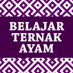 ”Belajar Ternak Ayam