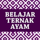 Belajar Ternak Ayam icône