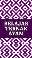 Belajar Ternak Ayam poster