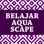 Belajar Aquascape