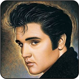 Elvis Presley icône