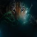 Theme - Tiger APK