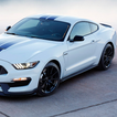 Jigsaw Puzzles Ford Mustang Shelby Best Cars
