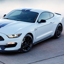 Jigsaw Puzzles Ford Mustang Shelby Best Cars aplikacja
