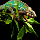 Reptiles and Lizard Best New Jigsaw Puzzles icône