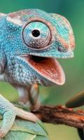 Reptiles and Lizard Best New Jigsaw Puzzles 스크린샷 1