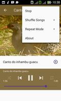 Canto da Lambu do Sertao اسکرین شاٹ 3