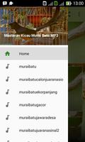 Kicau Master Murai Batu MP3 poster