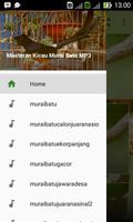 Kicau Master Murai Batu MP3 পোস্টার