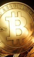 Bitcoin Theme Wallpapers পোস্টার