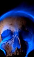 Blue Fire Skull Live Wallpaper โปสเตอร์