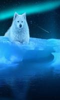 Ice Wolf 3D Theme capture d'écran 2