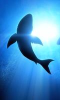 3D महासागर शार्क थीम पोस्टर