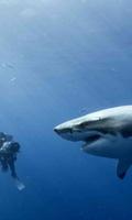 Thème de requin de l'océan 3D capture d'écran 2
