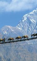 Nepal Wallpapers bài đăng