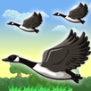 Duck Hunt APK