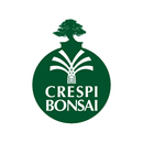 APK Crespi Bonsai