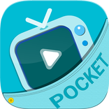 Pocket TV