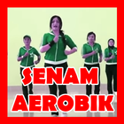 senam aerobik video version Zeichen