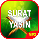 Surah Yassin dan Terjemahan Offline APK