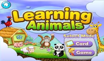 Learning Animals Affiche