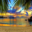 Best Beach Wallpapers