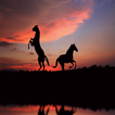 ”Best Black Wallpapers