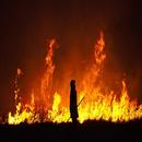 Best Fire Wallpapers APK