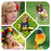 Photo College Maker APK