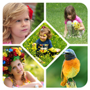 APK Photo College Maker