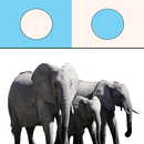 Great Difference - Animals APK