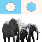 Great Difference - Animals simgesi