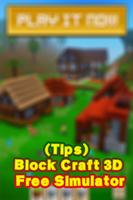 Poster Tips Block Craft 3D Simulator