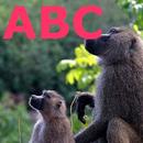 Animal ABC APK