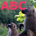 Animal ABC icône