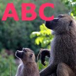 Animal ABC
