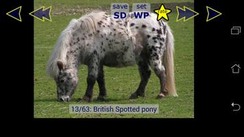 Little Pony Families & Breeds captura de pantalla 2