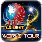 Top Cricket World Tour icône