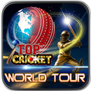 Top Cricket World Tour APK