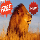 Animal Sounds APK