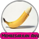 Cara Membesarkan Anu Mujarab aplikacja
