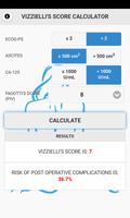 Vizzielli’s Score Calculator screenshot 1