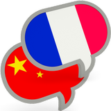 Chinese French Translator Pro icône