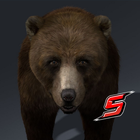 3D MASTER BEAR SIMULATOR icône