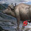3D hairy Buffalo Simulator